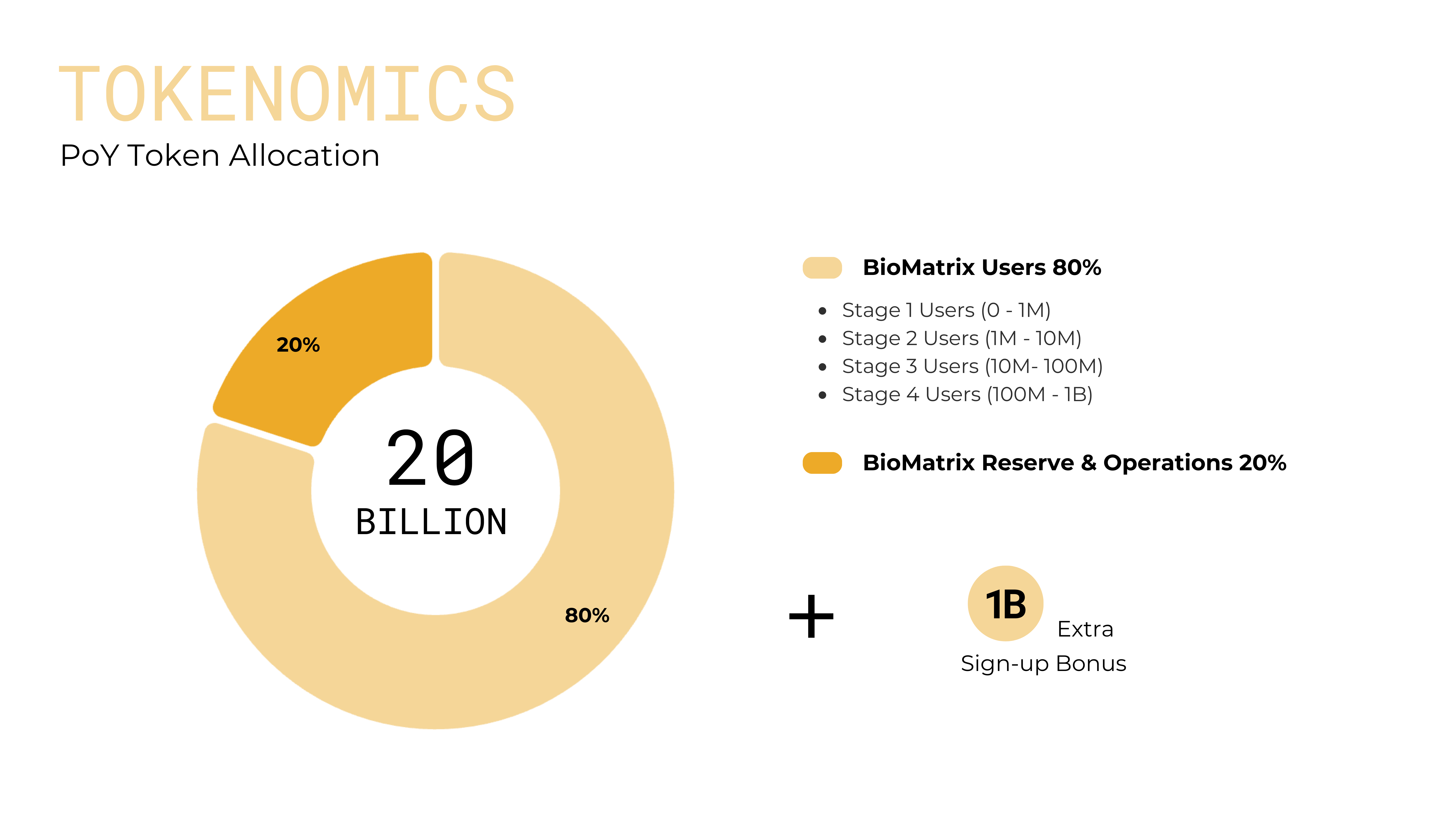 PoY Token Allocation